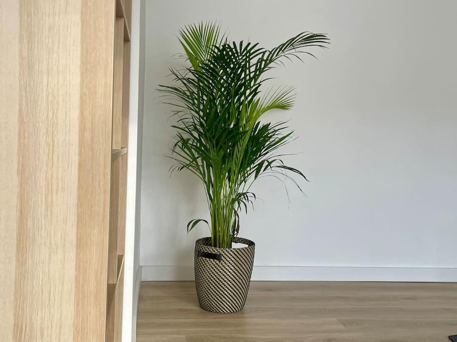 Appartement 73M2 - 2 Chambres - Parking - Wi-Fi Toulouse Eksteriør bilde